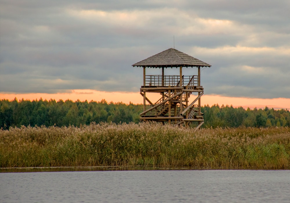 bird watching tower